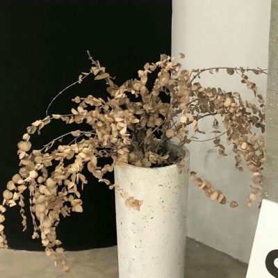 Furry插画色彩灵感兽圈群